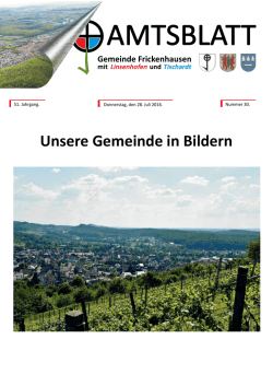 Amtsblatt KW 30 - Gemeinde Frickenhausen