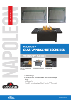 glas-windschutzscheiben - BBQ