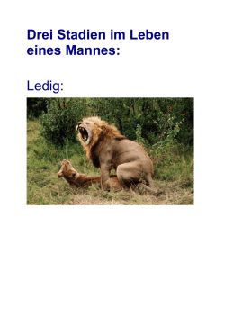 Drei Stadien im Leben eines Mannes