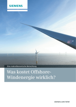 Was kostet Offshore- Windenergie wirklich?