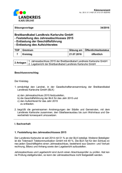 Feststellung des Jahresabschlusses 2015