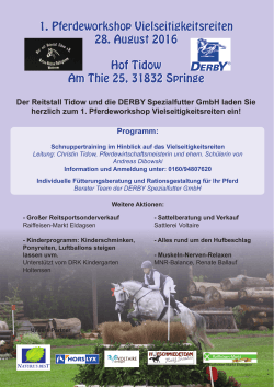 1. Pferdeworkshop Vielseitigkeitsreiten 28. August 2016 Hof Tidow