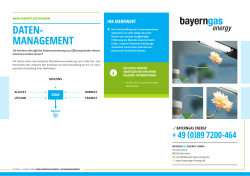 Produktblatt - Bayerngas Energy