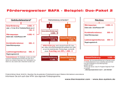 Förderwegweiser BAFA - Beispiel: Duo-Paket 2 - Duo