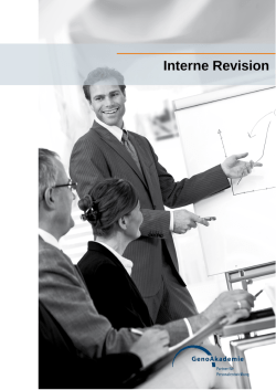 Interne Revision