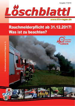 RauchmelderpÁicht ab 31.12.2017!
