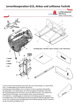 Hautfeldprojekt 1.0