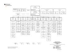 Organigramm des BfArM