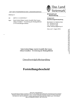 Feststellungsbescheid