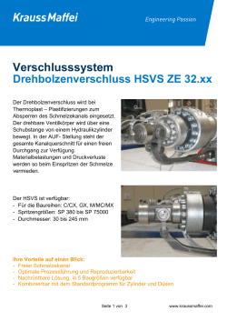 Drehbolzenverschluss HSVS ZE 32.xx