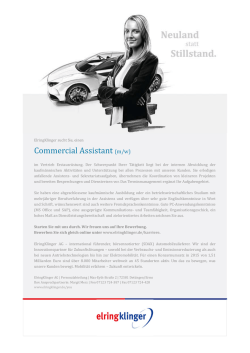 Job Opening as PDF