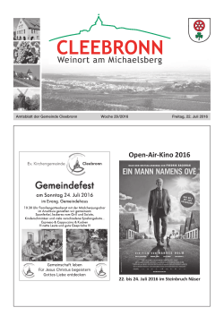 Open-Air-Kino 2016 - Cleebronn