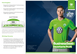 BusinessSeat - VfL Wolfsburg