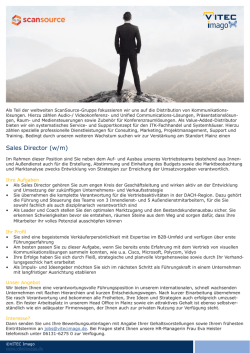 Sales Director (w/m)