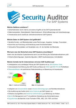 SAP Security Audit
