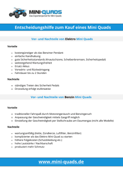 DOWNLOAD Entscheidungshilfe zum Kauf eines Mini Quads