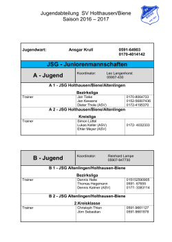 Jugend - SV Holthausen/Biene