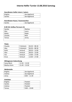 Interner vfh Helferplan 13 08 2016