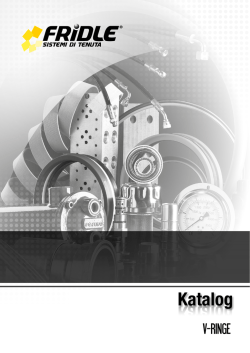 katalog v-ringe - Fridle Group S.r.l.