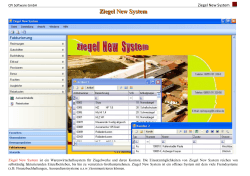 Ziegel New System - CPI Software GmbH