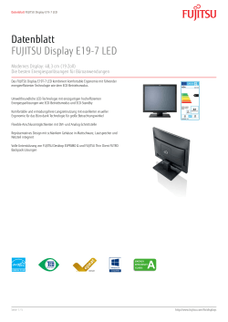Datenblatt FUJITSU Display E19