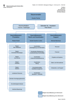 Organigramm Steuerverwaltung des Kantons Bern
