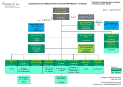 Organigramm nicht-akademisches Personal DIPR Standort Inselspital
