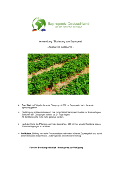 Anwendung / Dosierung von Sapropeet - Anbau von Erdbeeren -