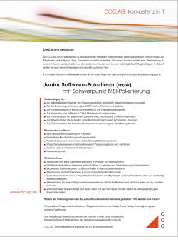 Junior Software-Paketierer (m/w) mit Schwerpunkt MSI