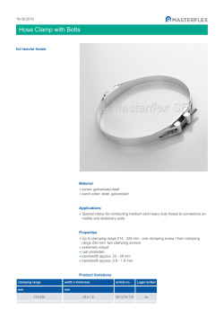 Hose Clamp with Bolts