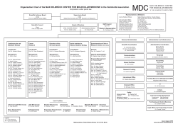 Organization Chart of the MAX DELBRÜCK CENTER FOR