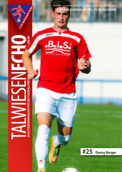 echo 1. fc rielasingen-arlen &ndash; fc 08 villingen