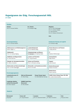 Organigramm als PDF