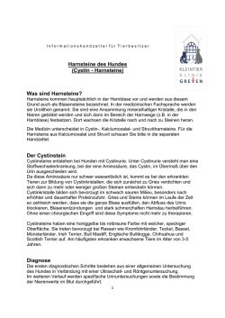 Harnsteine des Hundes (Cystin - Harnsteine)