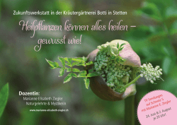 Flyer Heilpflanzen-Seminar.indd
