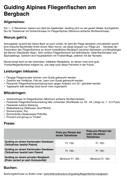Guiding Alpines Fliegenfischen Bergbach