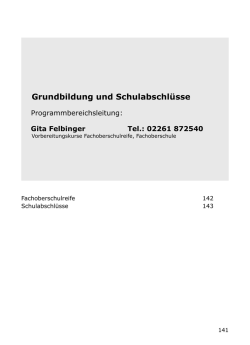 Grundbildung und Schulabschluesse