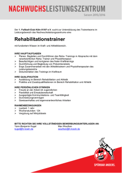 Das Job-Angebot als PDF herunterladen