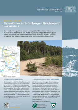 Infotafel Sandd&uuml;nen im N&uuml;rnberger Reichswald bei Altdorf