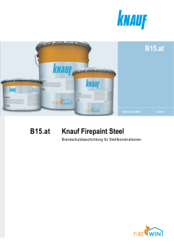 B15.at B15.at Knauf Firepaint Steel