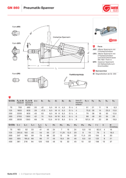 GN 860 Pneumatik-Spanner