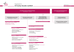 Rechtliches Organigramm CS