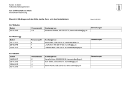 IIZ Stages (intern) (38 kB, PDF)
