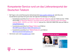 Professional Service for the Deutsche Telekom Supplier Portal
