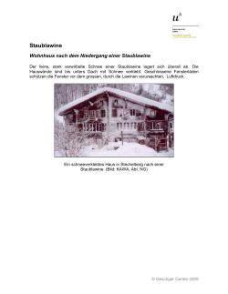 Staublawine - Jungfrau Klimaguide