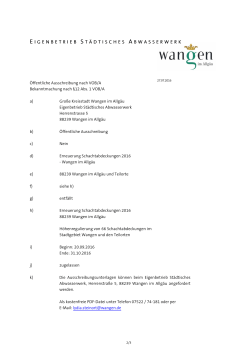 Erneuerung Schachtabdeckungen 2016