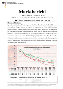 Marktbericht der BLE für Obst, Gemüse und Südfrüchte Nr. 30 / 16