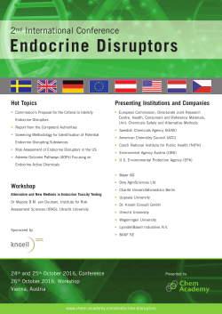 Endocrine Disruptors - Chem