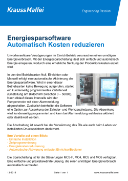 Energiesparsoftware- Flyer-de