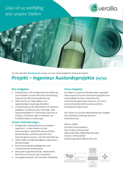 Projekt – Ingenieur Auslandsprojekte (m/w)